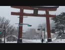 はしもとくん「栃木県日光市に平成最後の雪をみにきた」2019年4月10日