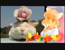 ねこさんねこさん  さとうささら/cevio