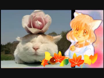 ねこさんねこさん  さとうささら/cevio