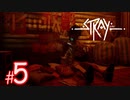 【アウトサイダーの行方】猫になれる！？サイバーパンクな世界を探索できるADVゲーム『Stray』#5