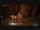 しろがね村【ELDEN RING】30