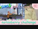 ＃38【シムズ4】レガシーのようで、レガシーでない【ゆっくり実況】