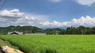 【旅行】和歌山から奈良へ カレー・湧水・現場【2日目】後半（コメント無）