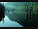 【一時間耐久】girls /高木正勝