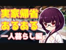 実家帰省あるある解説