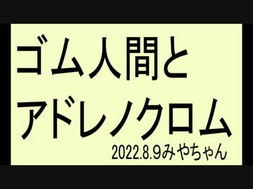 船瀬さんと細川さんの動画でゴム人間言ってました、本当でしょうか