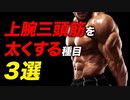 【筋トレ】上腕三頭筋を太くする種目 3選 | 現役ボディビルダーが解説【ビーレジェンド プロテイン】