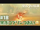 #18 ゼルダの伝説 ブレス オブ ザ ワイルド【黒いボコブリンつおい】