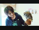 森川さんのはっぴーぼーらっきー　第一幕　第十話　フクロウに触りたいです