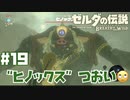 #19 ゼルダの伝説 ブレス オブ ザ ワイルド【ヒノックスつおい】