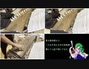 【東方と和楽器】東方風神録5面テーマ「少女が見た日本の原風景」を箏と十七絃で弾いてみた