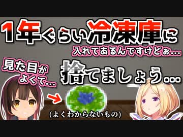 年単位で冷凍庫で育てていた謎の物体をアキロゼに発掘されるロボ子さん