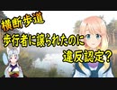 横断歩道で歩行者に先に行くように譲られた結果、違反切符を切られる！警察の見解は…【世界の〇〇にゅーす】
