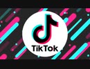 Karano Kokoro    TikTok    Remix