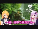 【STRAY】ゆかりとマキが猫ちゃんと大冒険part１２【特別シリーズ】
