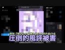 ハクさんの日2022