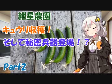紲星農園「キュウリ編」Part2