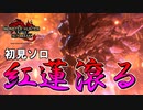 初見ソロで紅蓮滾るバゼルギウスに挑む。やつに属性カウンター充填は危険である【MHRISE:SUN BREAK】モンハンサンブレイク