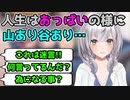 為になる事と言いつつ訳の分からない事を言う白銀ノエル【ホロライブ切り抜き】