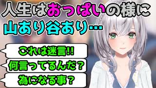 為になる事と言いつつ訳の分からない事を言う白銀ノエル【ホロライブ切り抜き】
