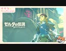 ゼルダの伝説 ブレス オブ ザ ワイルド  完全初見実況プレイ #19