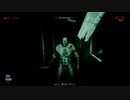 【カメラに全てを】OUTLAST part05【実況】