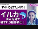 【イルカが人を襲う】2022年海水浴場はおかしい！原因はmRNAワクチンによって人が人の遺伝子ではなくなっているからイルカが襲うのだ！