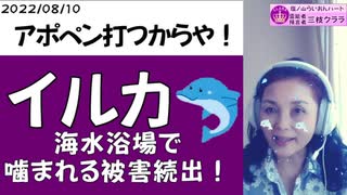 【イルカが人を襲う】2022年海水浴場はおかしい！原因はmRNAワクチンによって人が人の遺伝子ではなくなっているからイルカが襲うのだ！