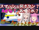 ししろんにスマッシュを教えた瞬間にスマッシュを決められるルーナ姫【姫森ルーナ/獅白ぼたん/ホロライブ切り抜き】