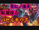やばすぎるアイツの特殊固体『紅蓮滾るバゼルギウス』　Part 34【モンハンサンブレイク】【実況】
