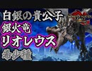 黒鉄のリオレウス希少種がただのバケモノな件について　Part 35【モンハンサンブレイク】【実況】