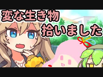 変な生き物拾いました[VOICEVOX1周年文化祭]