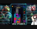 【VOICEROID実況】東北きりたんの毎日テト１チャレンジ 150日目【テトリス99】