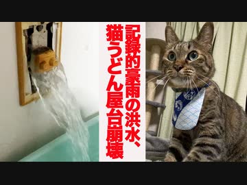 猫うどん職人、記録的豪雨の洪水で屋台が倒壊する