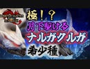 『ナルガクルガ希少種』がフロンティア化してる件について　Part 37【モンハンサンブレイク】【実況】