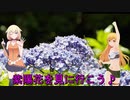 ＮＳ－１で行く！洗川あじさい園♪