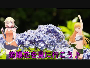 ＮＳ－１で行く！洗川あじさい園♪