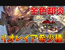 【旋風】リオレイア希少種の却炎状態が高速過ぎるｗｗ【サンブレイク】