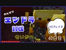 のんびりマイクラエンドラ討伐生活四〇日目