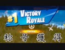 【FORTNITE】1回もキルしないでビクロイ取ってみた【チャプター3シーズン3】【＃7】【実況】