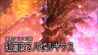 【MHRS】発売日から全モンスターを倒すまで【実況】part21