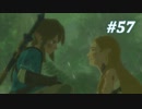 【ゼルダの伝説BotW】実況プレイ-part57-