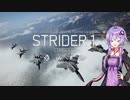 【エースコンバット7】星の屑航空戦斗課はストライダー隊 part11