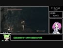 ダークソウル２RTA　３/５