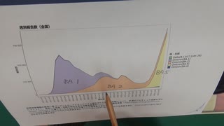 日本は不良在庫処分場＆治験国家である