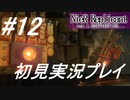 【ニーアレプリカント】感情移入の激しい人が頑張る実況#12【実況】