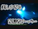 【マイクラ実況(影mod)】綺麗すぎな配信者鯖で生きる！！【マインクラフト(minecraft)】