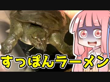 茜ちゃん特製すっぽんラーメンを振る舞う茜ちゃん