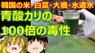 ゆっくり雑談 531回目(2022/8/11) 1989年6月4日は天安門事件の日 済州島四・三事件 保導連盟事件 ライダイハン コピノ コレコレア