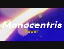 Monocentris / flower